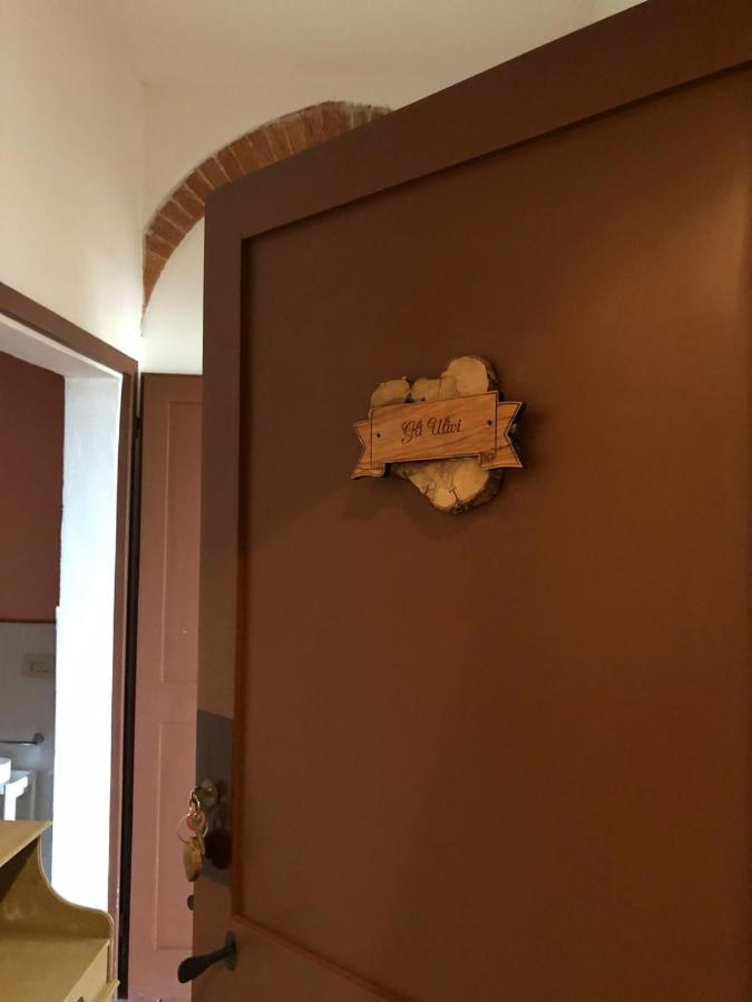 Agriturismo Diffuso Monte Oliveto Maggiore Chiusure 外观 照片