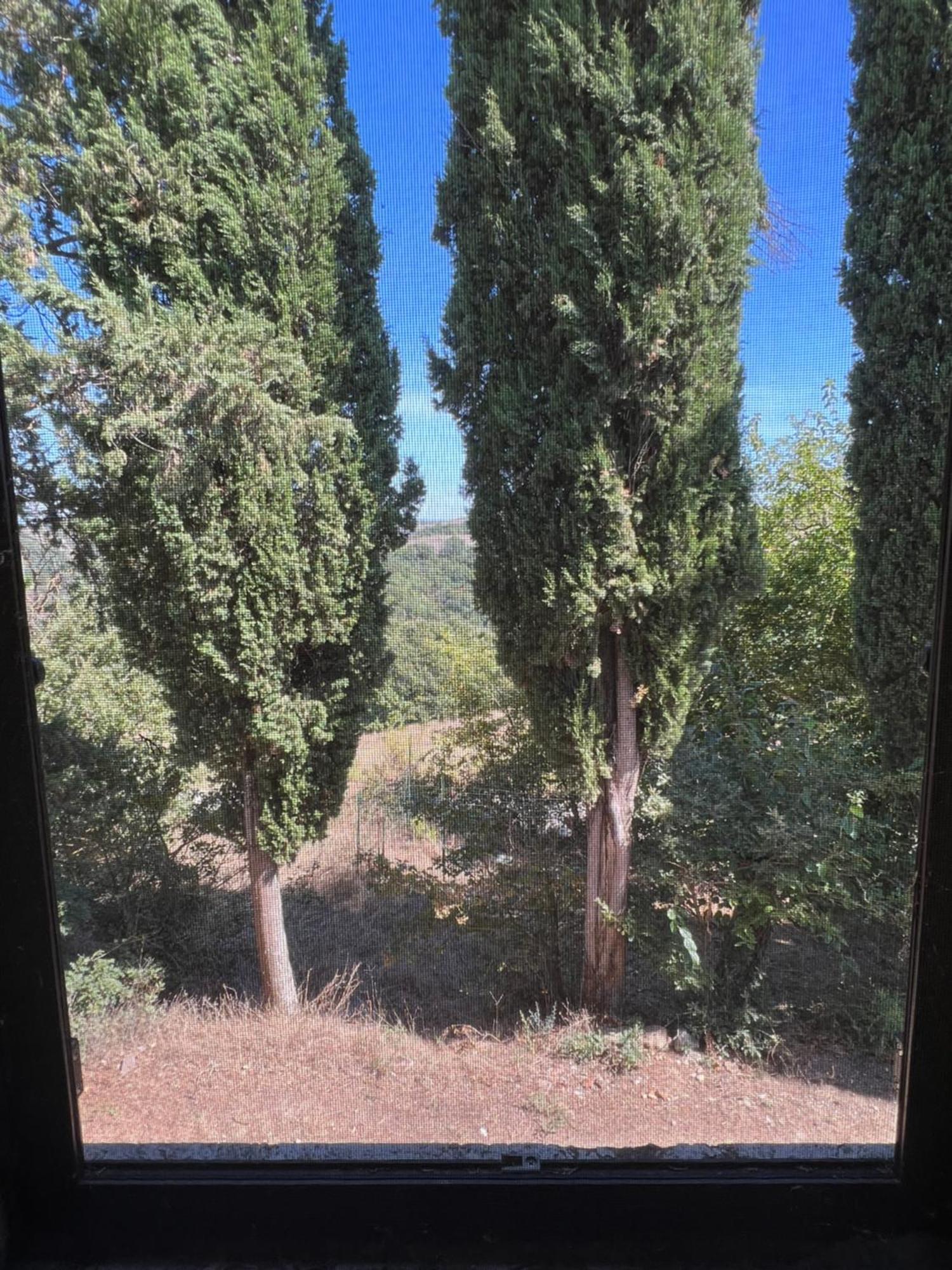 Agriturismo Diffuso Monte Oliveto Maggiore Chiusure 外观 照片